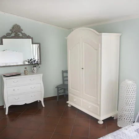 Pardini's Viareggio